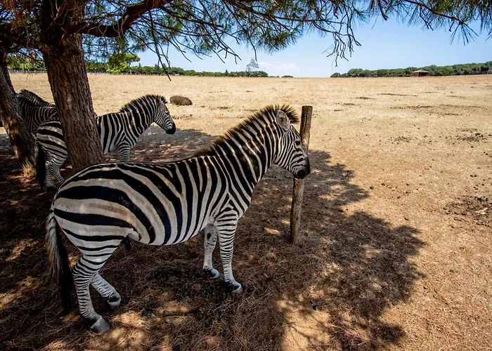 아파트 Apartment Jadranka 3 In Stinjan - Istrien 17371 풀라